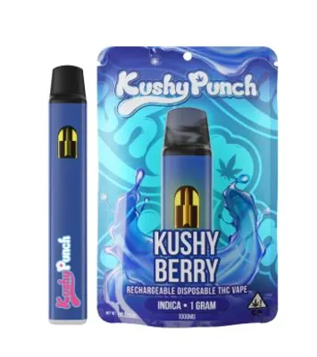 Blue Dream | Premium THC | STIIIZY